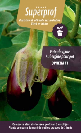 images/productimages/small/138606_potaubergine opheliaF1.jpg